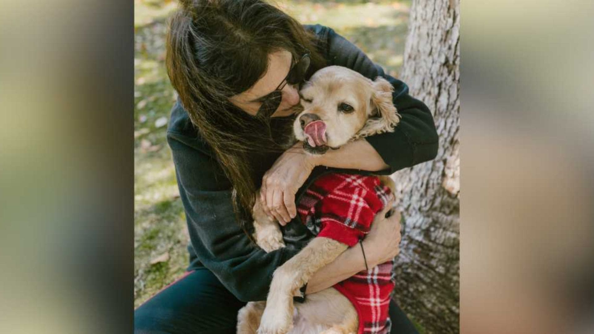 Mulher abraçando seu cão vestido com uma roupinha vermelha no parque